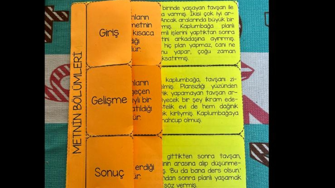 Türkçe Dersi Metnin Bölümleri  Etkinliği
