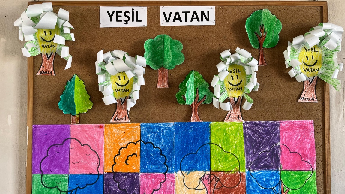 Yeşil Vatan - Benim Okulum Geleceğe Çare